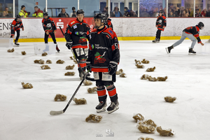 Foto: HB-Fotografie, H. Beck